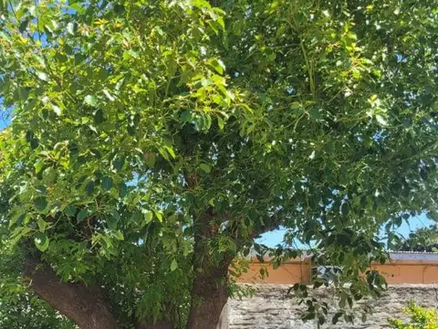 Casa en Venta al Noroeste