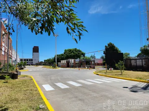 Martin Rodriguez al 100