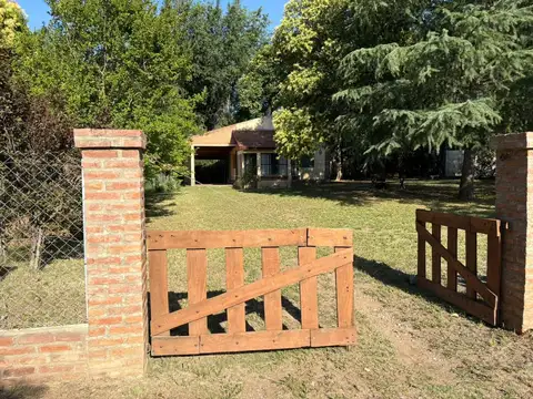 El Mirlo 100, Piso EL