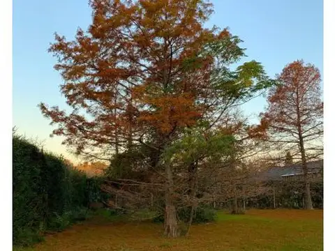 Terreno en Venta 11  mts Frente