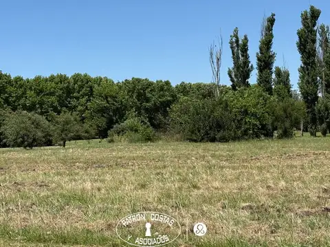 Terreno Residencial Lote en venta en La Colina