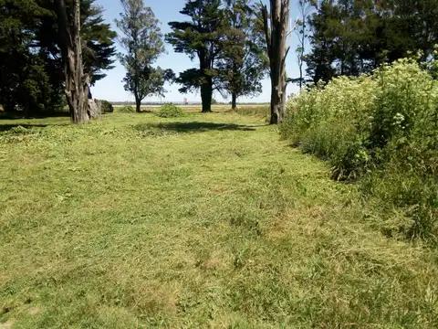 Terreno en Venta 13  mts Frente