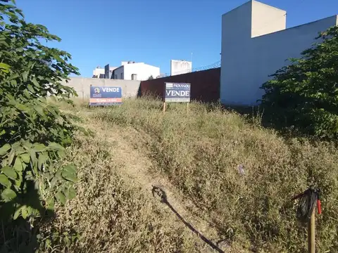 Quijano casi Angeleli