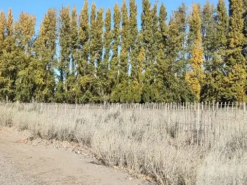 TERRENO 307M2 LOTEO LAS FLORES