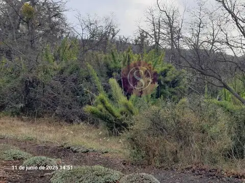 Terreno Lote  en Venta en San Martin de los Andes, Patagonia, Argentina