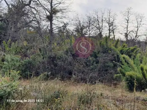 Terreno en Venta en San Martín de los Andes, USD 21.000