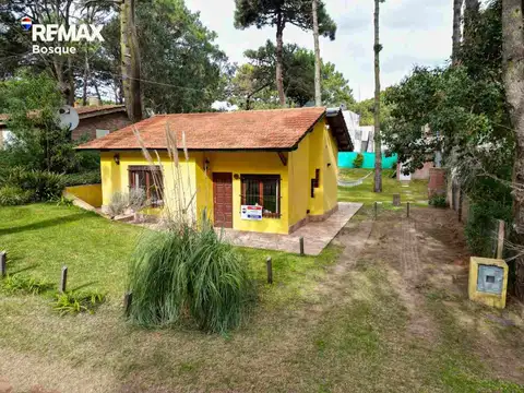 Corbeta Cefiro 800