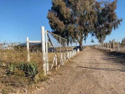 Campo en venta - Junín