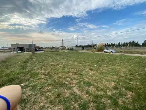 Terreno en Venta de 370,0 m2