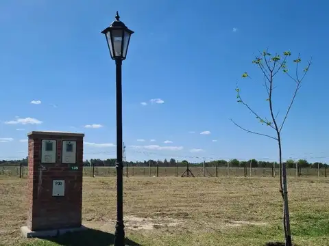 Terreno en Venta de 695,0 m2