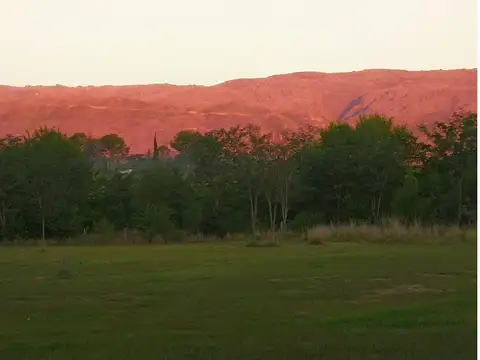 Terreno en Venta de 10000,0 m2