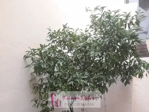 Depto Tipo Casa en Venta 40 años