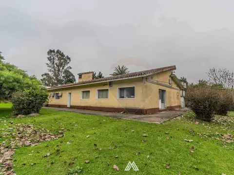 Local en Alquiler 43 años