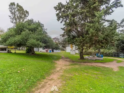 Local en Alquiler 43 años