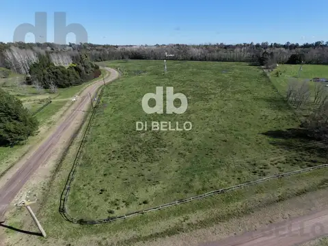 Campo en Venta en Estancia Benquerencia Farm Club, Countries y Barrios Cerrados en San Miguel del Monte