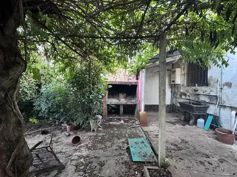 Creppy 100