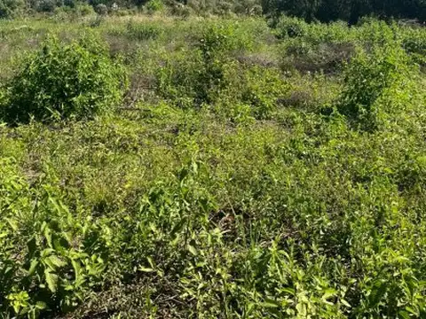 Terreno en Venta en Garupa, USD 25.000