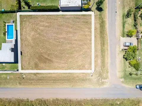 Saavedra Lamas  al 6300