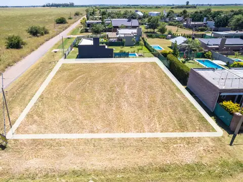 Saavedra Lamas  al 6300