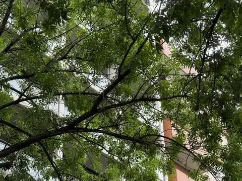 VENTA DEPARTAMENTO 2 AMBIENTES BALCON AMENITIES EN BELGRANO