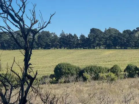 Campo en Sierra de Los Padres