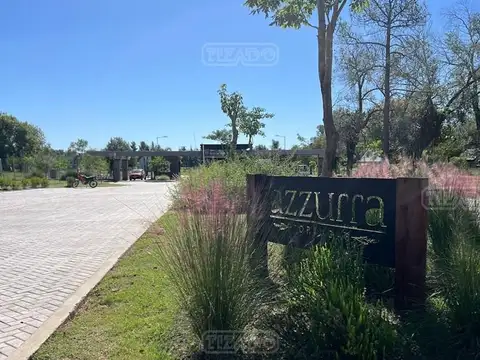 Azzurra Tortugas 100