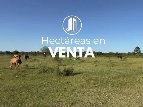 VENDO. 24 Hectáreas sobre Ruta 4. Entre Ríos