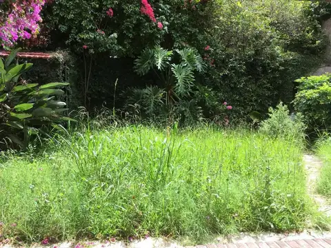 Local en Alquiler A Estrenar