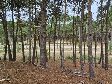 Terreno en Venta -  - 887mts - Pinamar