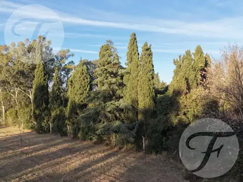 Lote de 4.028 m² en Villa Jardín | San Pedro, Buenos Aires | Entorno arbolado