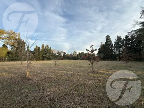 Villa Jardín