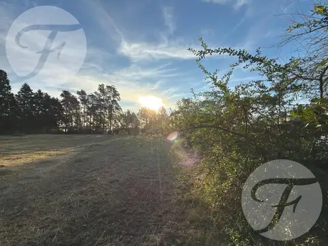 Terreno en Venta de 4028,0 m2