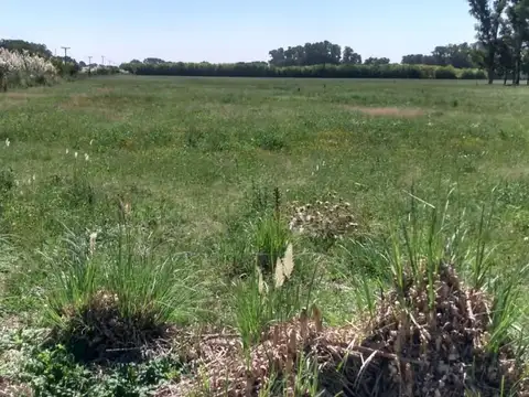 Campo en venta, Marcos Paz.