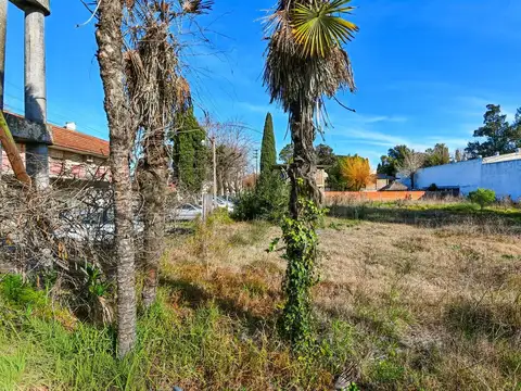 VENTA EN BLOCK - LOTES DE TERRENO - 1890 MT2 SOBRE CNO. GRAL. BELGRANO ESQ 485 - GONNET LA PLATA