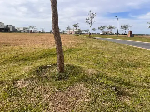 Avenida de los Lagos