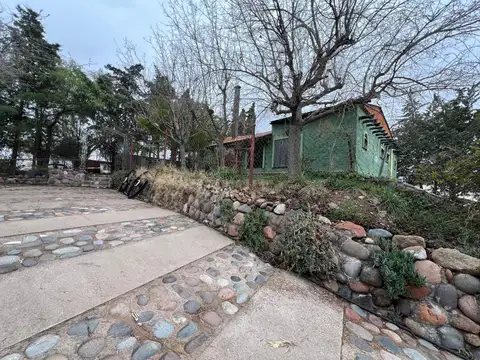 Flor del Desierto 100