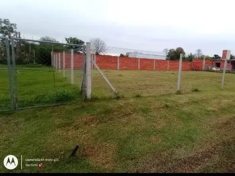 Barrio Carabassa Pilar