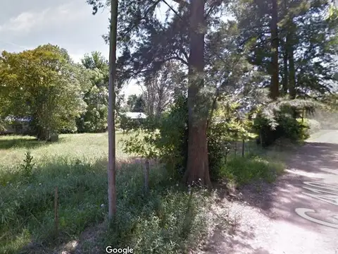 Terreno en Venta en Arturo Segui, USD 145.000