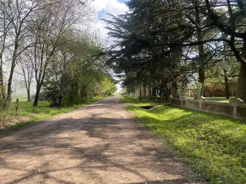 Terreno en Venta en Abasto, USD 75.000
