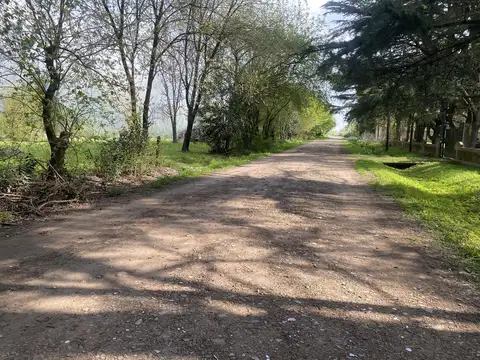 Terreno en Abasto de 55 X  110 M2