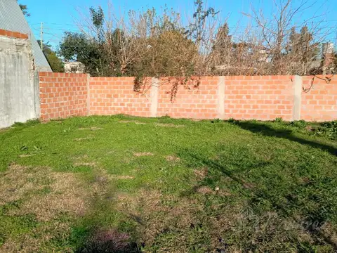 Almafuerte al 1600