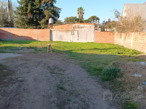 Terreno Con Mejoras En Venta - Francisco Alvarez, Moreno