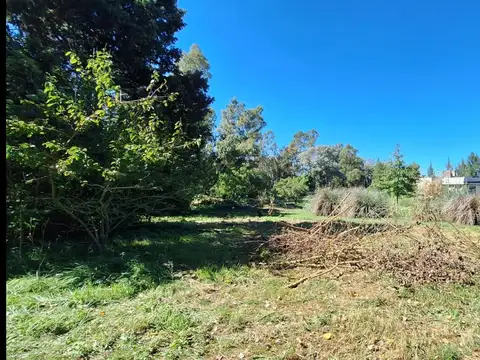 Terreno en Venta de 10668,0 m2