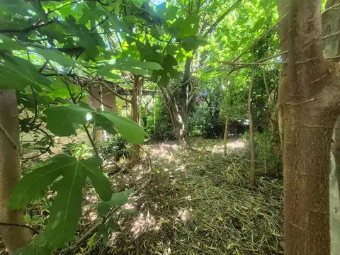 Casa en venta en Centro (Campana)