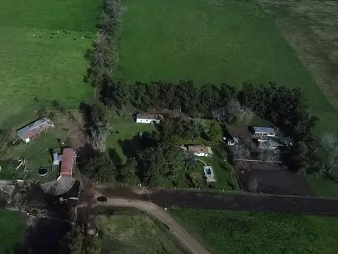 Campo en venta en Suipacha - 177 Has