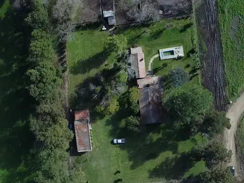 Campo en venta en Suipacha - 177 Has