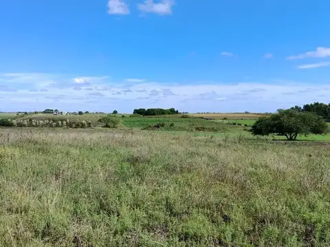 VENTA DE CAMPO 4 HECTAREAS CON TAJAMAR RUTA 75