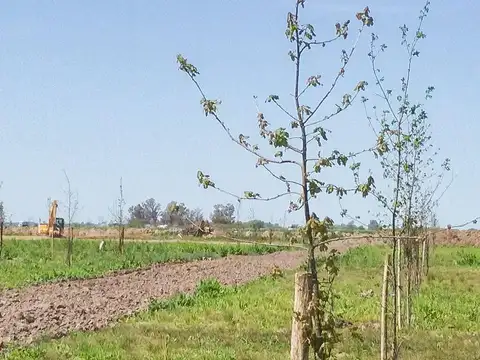 terreno en barrio abierto altos de piñero