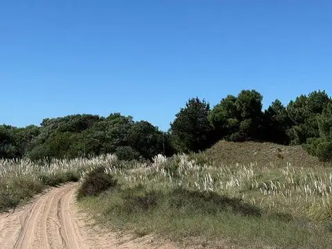 Chacras del Mar