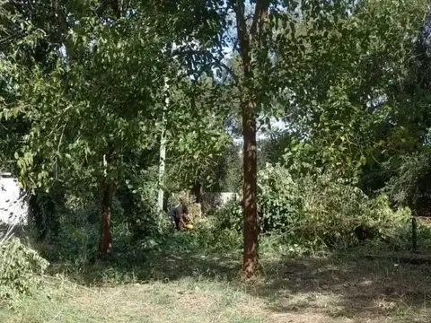 Terreno en Venta de 803,0 m2